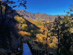 -白水寺森林公园