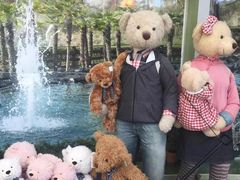 -济州岛泰迪熊博物馆