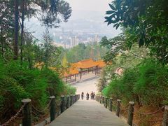 -铁山坪森林公园