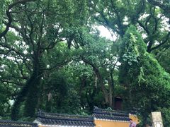 -普陀山风景名胜区-法雨禅寺