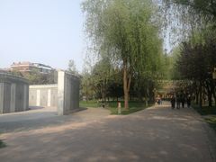 -唐城墙遗址公园