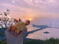 -洋山深水港