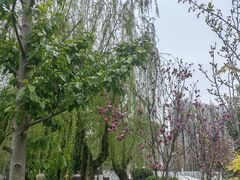 -宁波儿童公园(鄞州区)