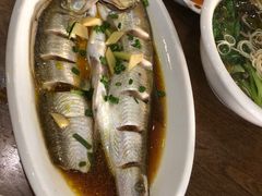 -老马家·舌尖上的西塘美食