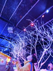 -圣名游乐城冰雪大世界