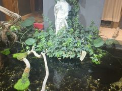 -邈墨茶馆(大兜路1号店)