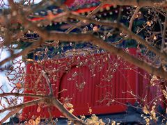-北京艺术博物馆(万寿寺)