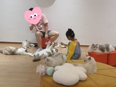 -1013 PET SHOP精品宠物商店(丁香店)