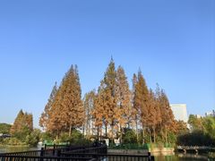 -黄兴公园