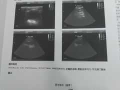 -中农大我爱我爱24h动物医院·中医针灸·猫专科·骨科医疗中心(双井店)