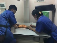 -严国平动物医院(德政总院)