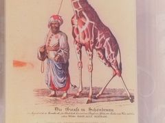 -北京动物园-畅观楼