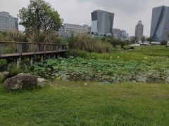 -桂溪生态公园