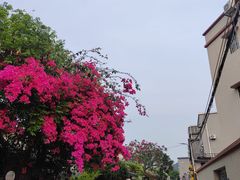 -三溪村