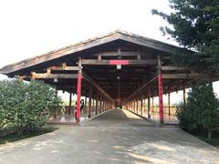 -福建鲤鱼洲酒店