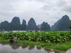 -钟山水墨田园