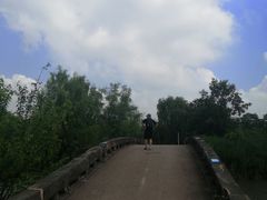 -白鹭湾湿地公园