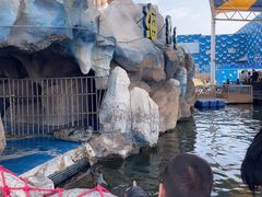 -华夏文旅海洋公园