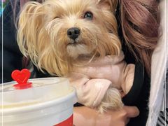 -Manner Coffee(大宁国际商业广场店)