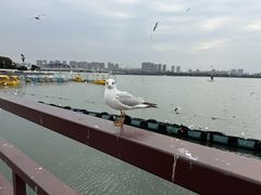-蠡湖大桥公园