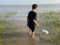 -南汇嘴观海公园