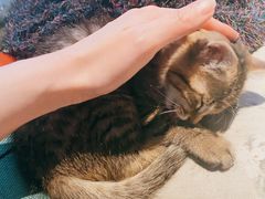 -么么咖啡(燕郊店)