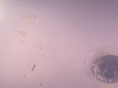 -春晖园度假酒店温泉