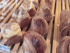 -WHEN PIGS FLY当猪飞