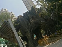 -弘阳·未来世界(弘阳广场店)