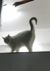 -深圳春天阳光医院·轮廓抗衰中心