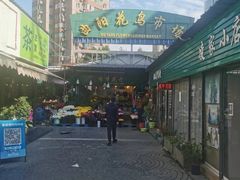 -曲阳花鸟市场(曲阳路店)