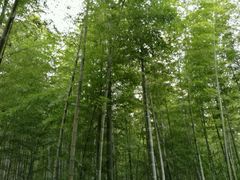 -南山风景名胜区