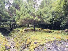 -硗碛藏寨·神木垒景区