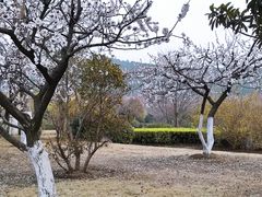 -云龙湖旅游景区