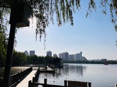 -莲花池公园