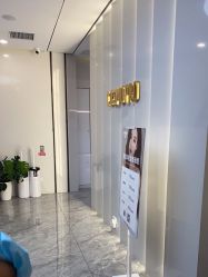 点击看大图 -COSMO PRO造型