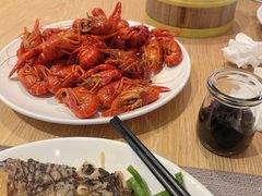 -齐河孔雀王温泉酒店·金孔雀自助百汇