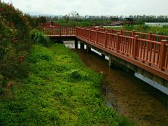 -芒洲湿地公园