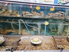 -77号渔船·蒸海鲜青岛菜(积米崖店)