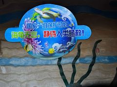 -广东惠东海龟国家级自然保护区