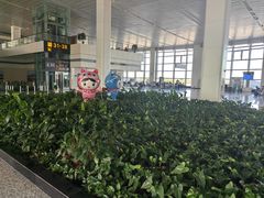 -石家庄正定国际机场-T2航站楼