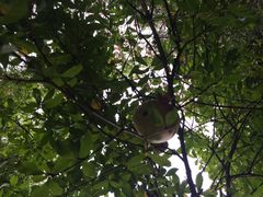 李白纪念馆-李白纪念馆