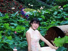 -花之城