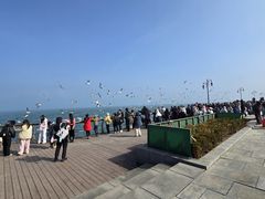 -东港音乐喷泉广场