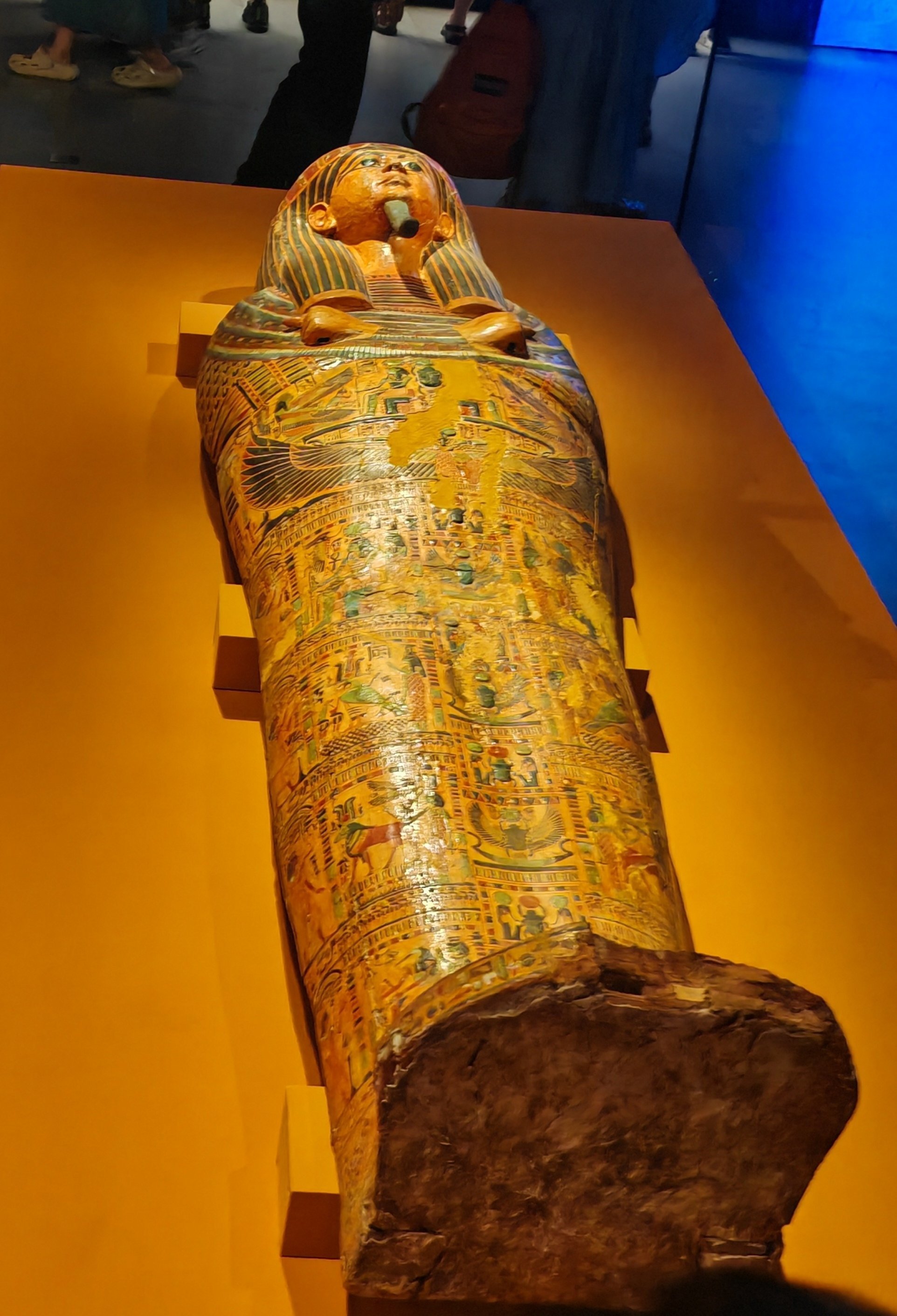 24下午游上博埃及展,报的是讲解团