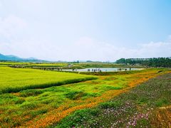 -光明小镇欢乐田园