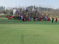 -秀丽东方