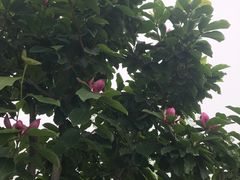 -金石唐风国际温泉会馆