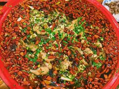 -东吴霸王兔(松青路店)
