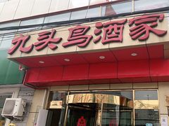 -九头鸟酒家(东高地店)